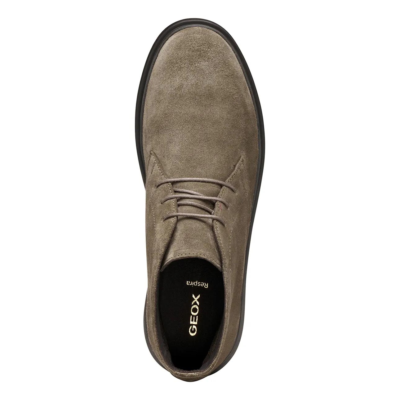 Geox U46H9A 22 C6029 Taupe U MASSIMIANO A SCAM