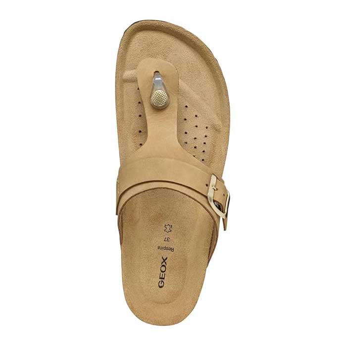 Geox infradito in pelle D BRIONIA Taupe