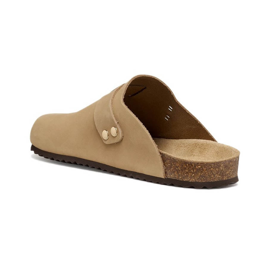 Geox D BRIONIA pantofola in pelle Taupe
