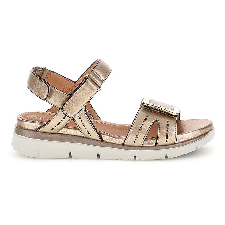 Stonefly ELODY 24 laminato oro