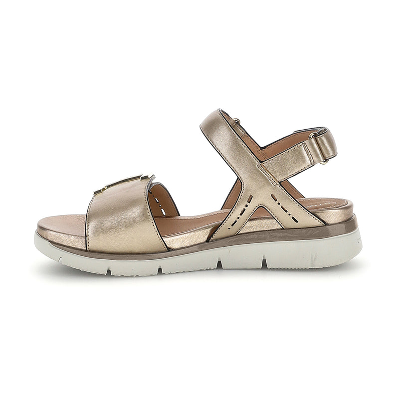 Stonefly ELODY 24 laminato oro