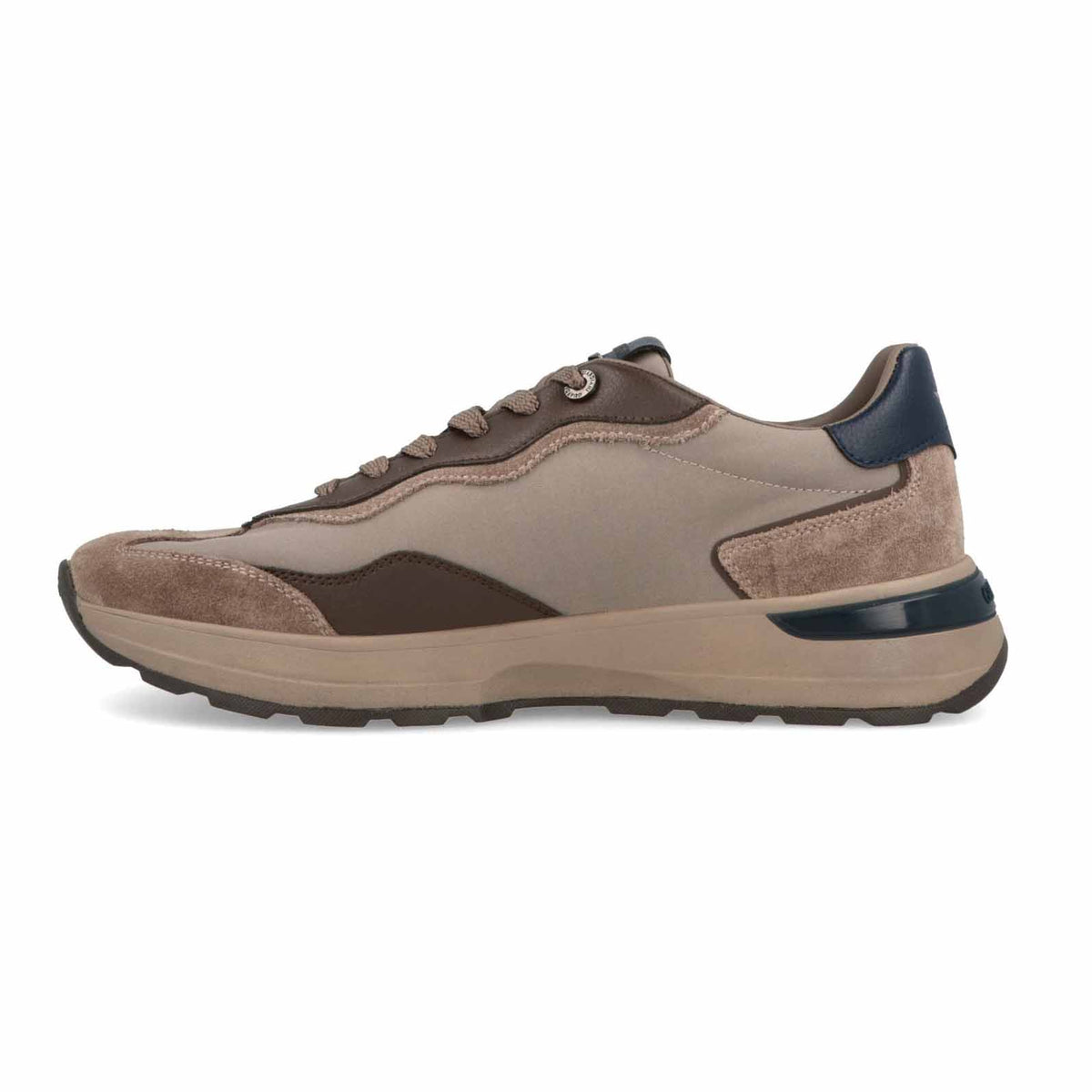 Guardiani Levante Swallow sneakers uomo